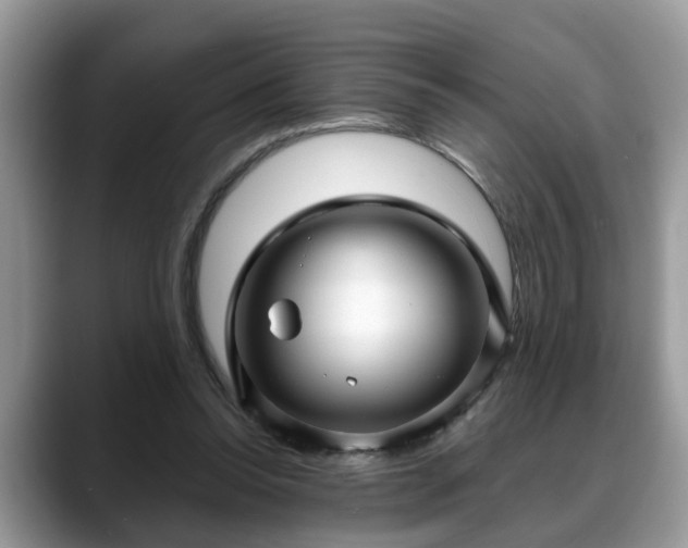 X0000088670350200706071504