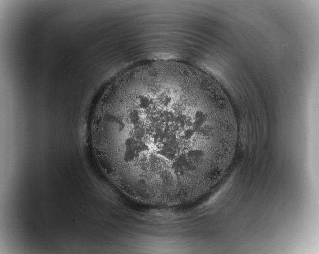 X0000088670351200706071504