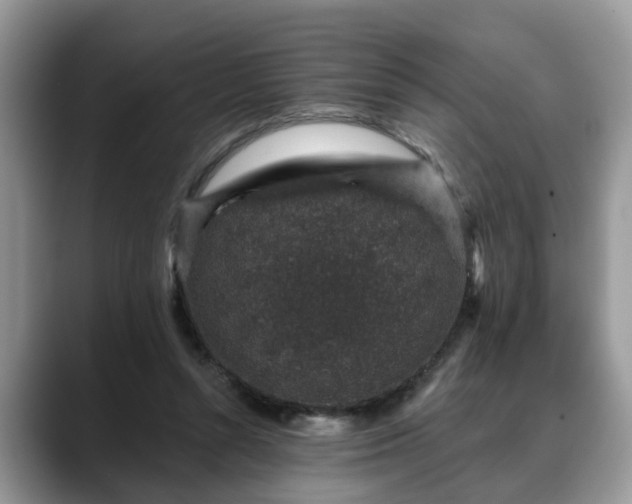 X0000088670352200706071504