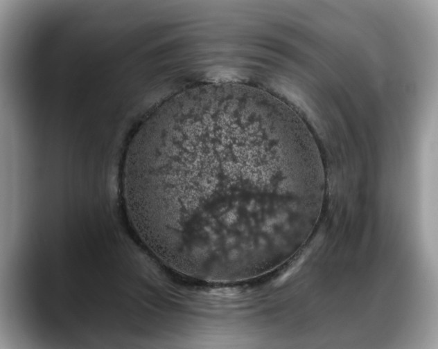X0000088670353200706071504