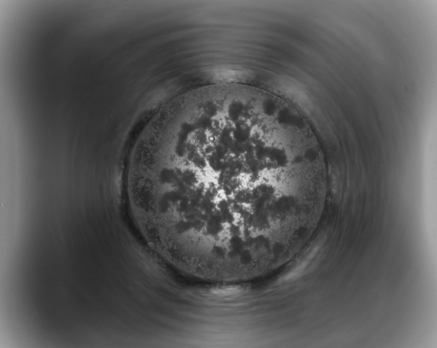 X0000088670357200706071504