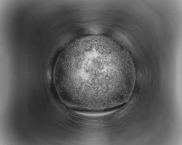 X0000088670358200706071504