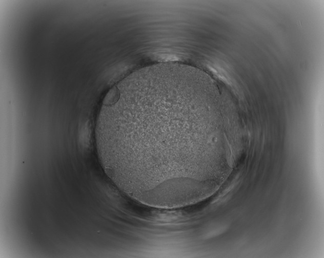 X0000088670359200706071504