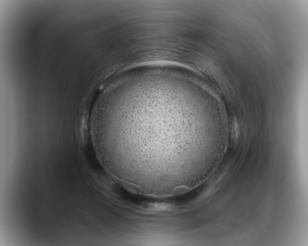 X0000088670360200706071504