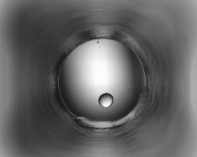 X0000088670362200706071504