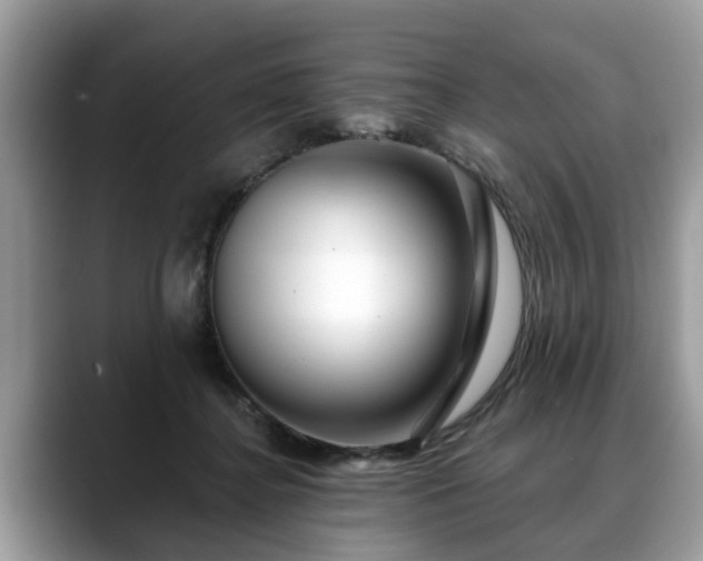 X0000088670364200706071504