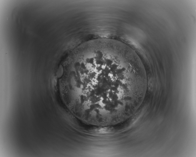 X0000088670365200706071504