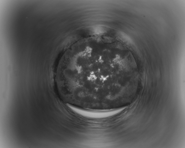 X0000088670366200706071504