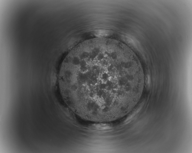X0000088670367200706071504