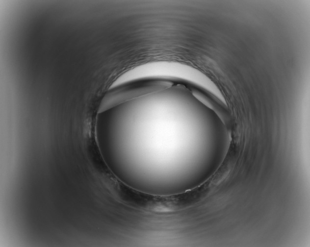 X0000088670368200706071504
