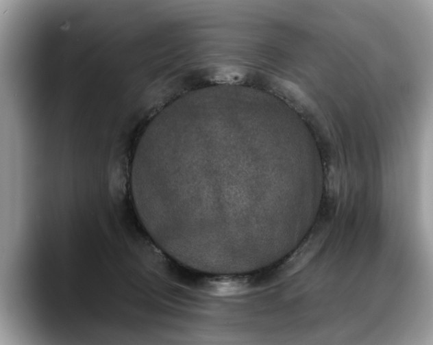 X0000088670370200706071504
