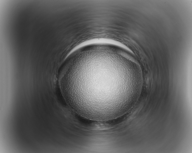 X0000088670372200706071504