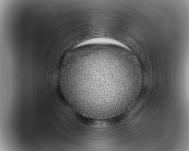 X0000088670376200706071504