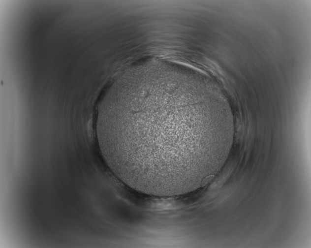 X0000088670377200706071504