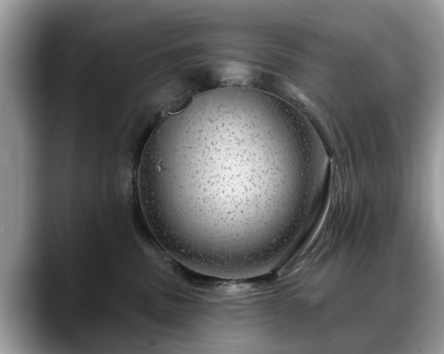 X0000088670379200706071504