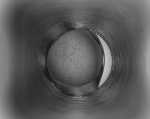 X0000088670380200706071504