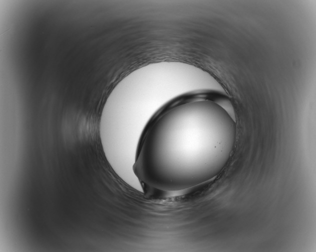 X0000088670384200706071504