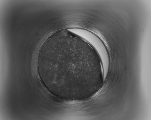 X0000088670385200706071504