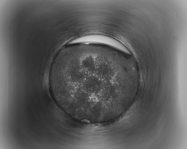 X0000088670386200706071504