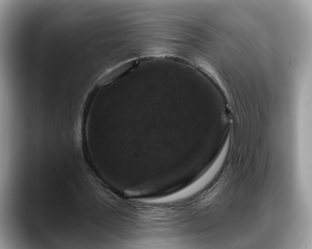 X0000088670387200706071504