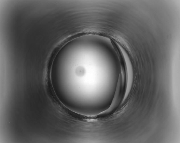 X0000088670388200706071504