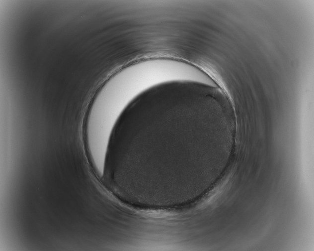 X0000088670389200706071504