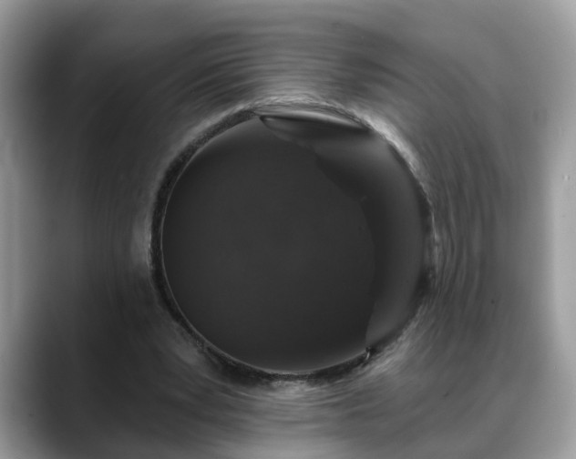 X0000088670391200706071504