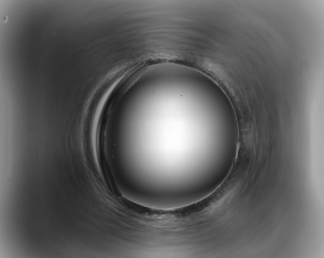 X0000088670395200706071504
