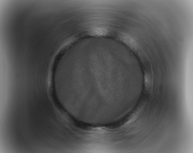 X0000088670396200706071504