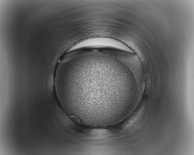 X0000088670397200706071504