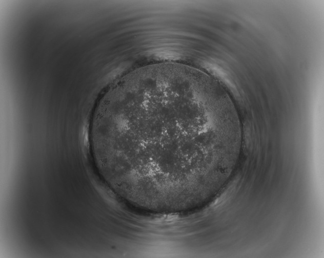 X0000088670398200706071504