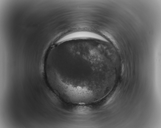 X0000088670399200706071504
