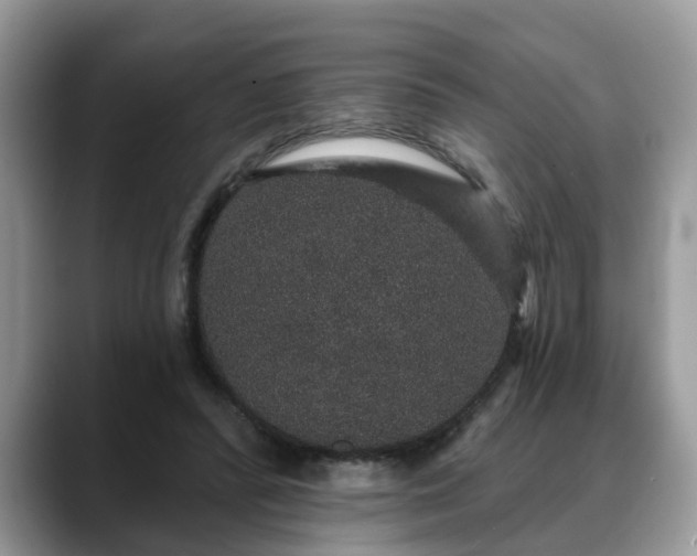 X0000088670400200706071504
