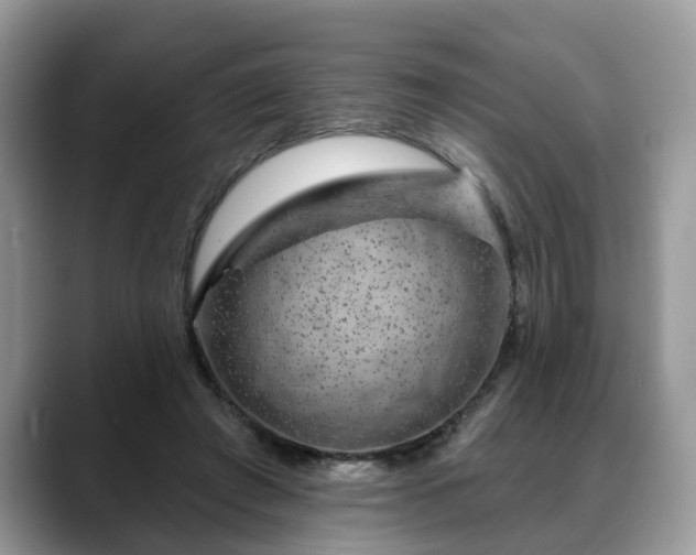 X0000088670401200706071504
