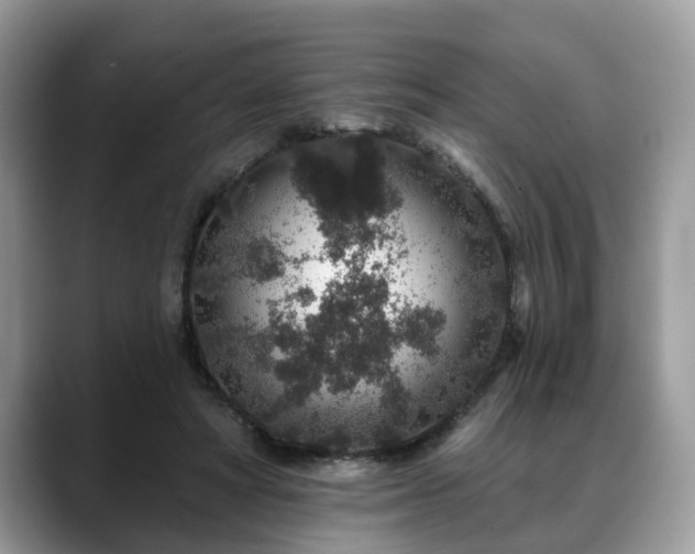 X0000088670402200706071504