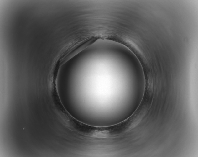 X0000088670403200706071504