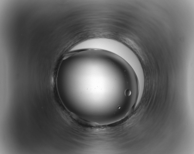 X0000088670405200706071504