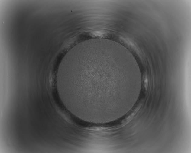 X0000088670408200706071504
