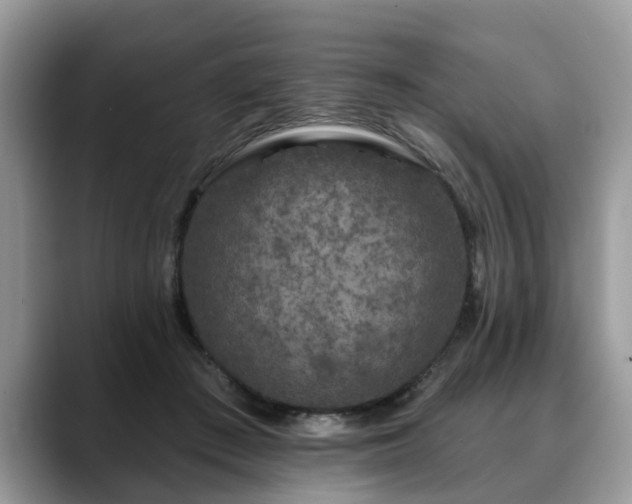 X0000088670409200706071503