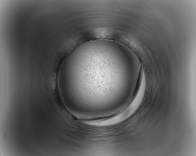 X0000088670413200706071503