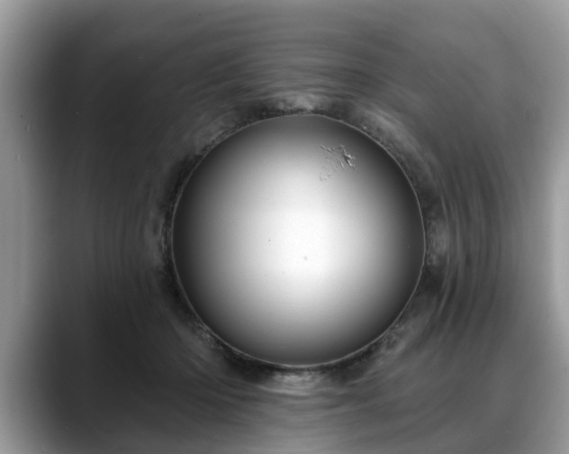 X0000088670414200706071503