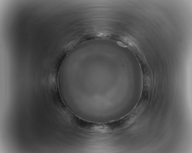 X0000088670415200706071503