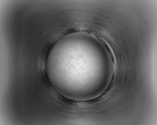 X0000088670417200706071503