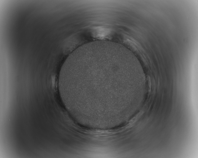 X0000088670420200706071503