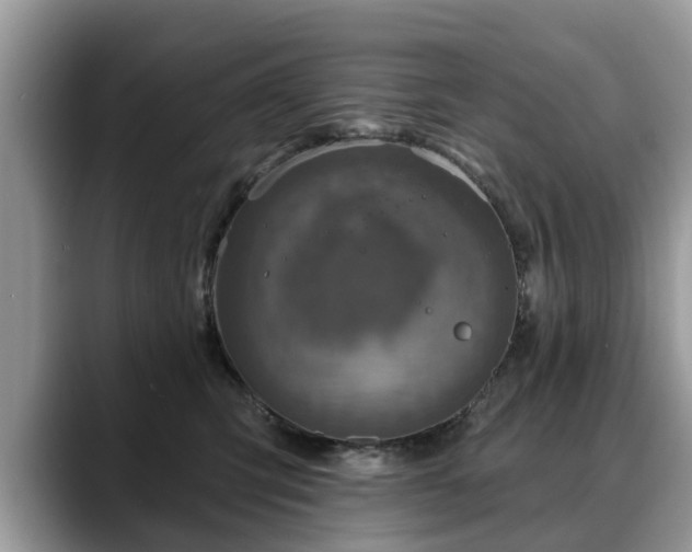 X0000088670423200706071503