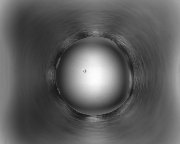 X0000088670425200706071503