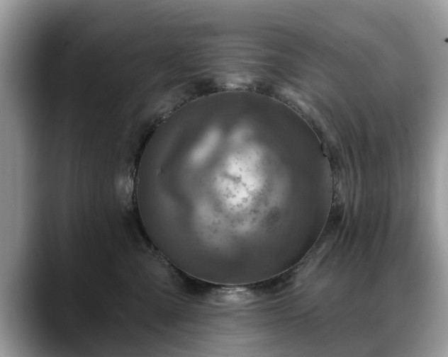 X0000088670427200706071503