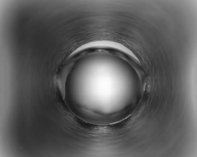 X0000088670428200706071503