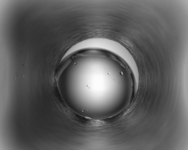 X0000088670429200706071503