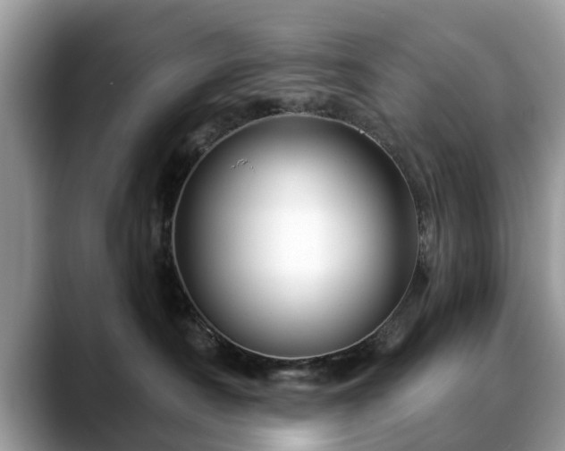 X0000088670430200706071503
